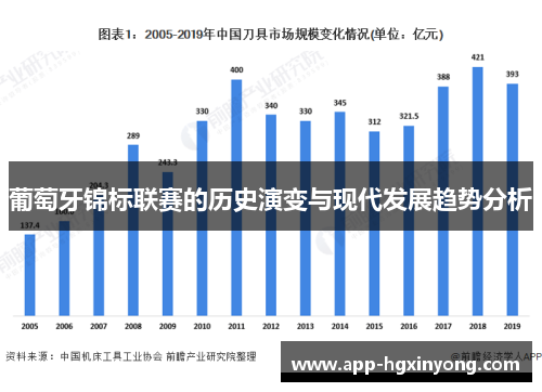 葡萄牙锦标联赛的历史演变与现代发展趋势分析
