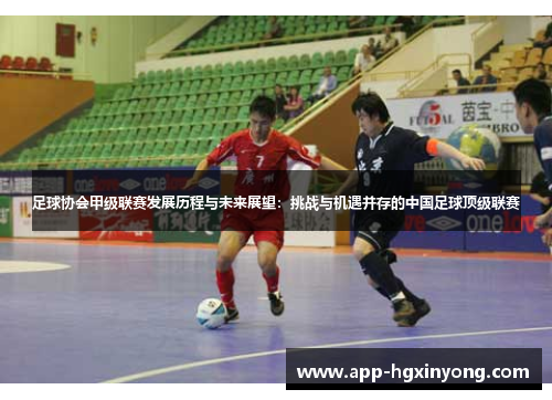 足球协会甲级联赛发展历程与未来展望：挑战与机遇并存的中国足球顶级联赛